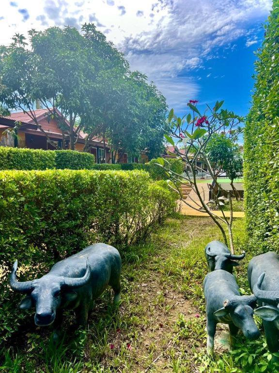 Deluxe Family Bungalow Garden View